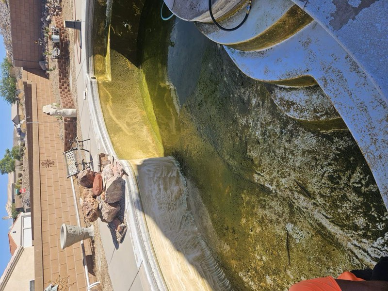 A green pool with algae on the walls, before a diagnostic